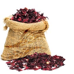 كركدي Amazing Hibiscus