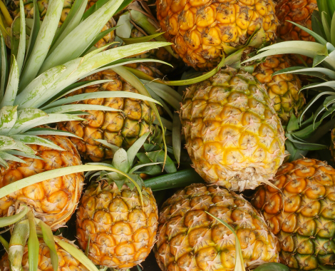 cutting-fresh-pineapple